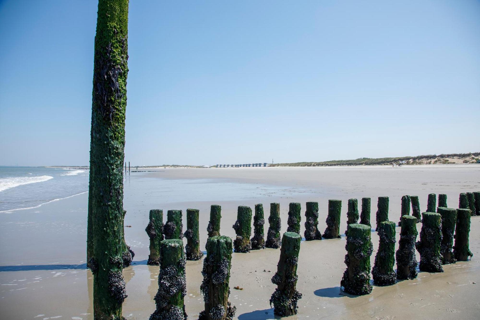 Zonneweelde, Vakantie Aan Zee Nieuwvliet Exterior foto
